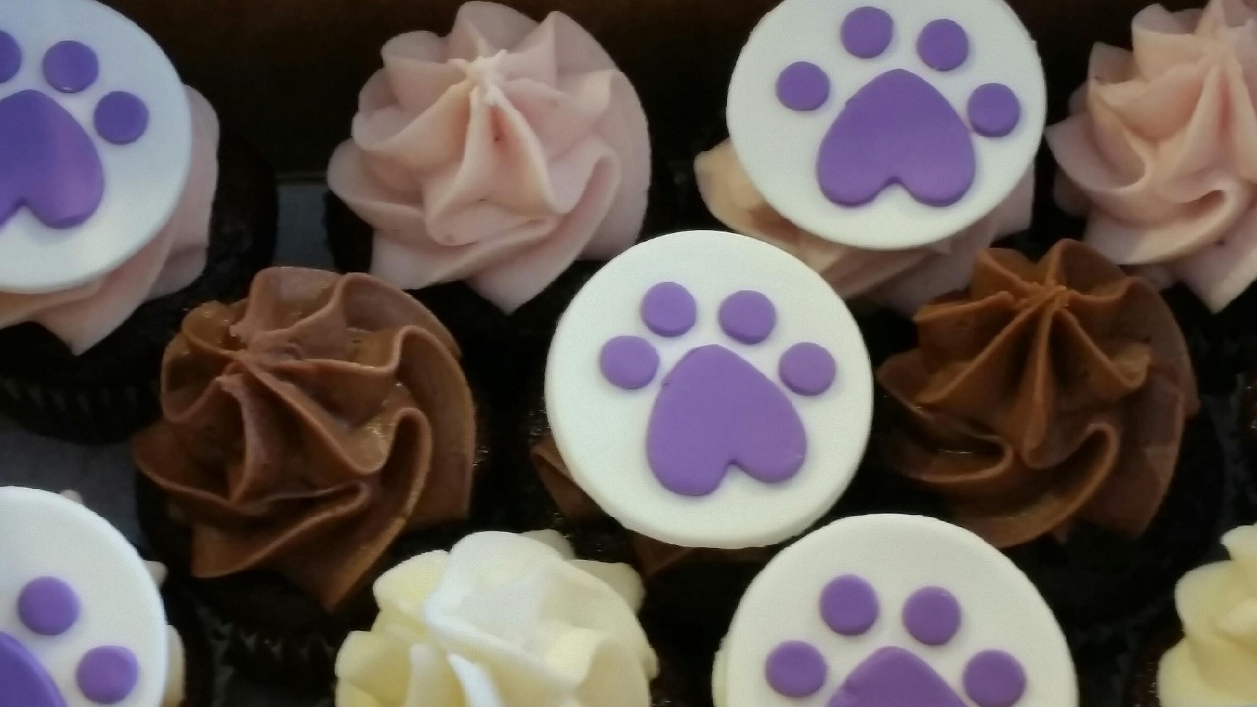Raleigh Pet Sitters Cupcake Shoppe Cupcakes