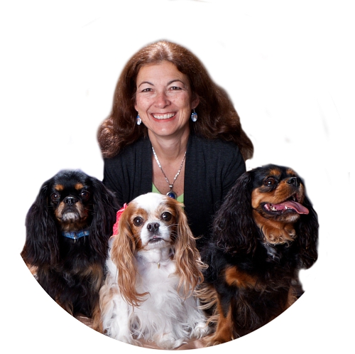 Dr Judy Morgan dogs